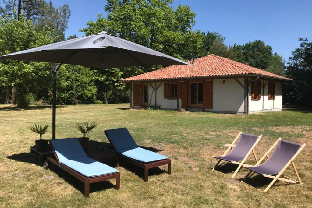 Spa Et Detente Au Coeur De La Foret Des Landes - 3 Etoiles Luglon Exterior photo
